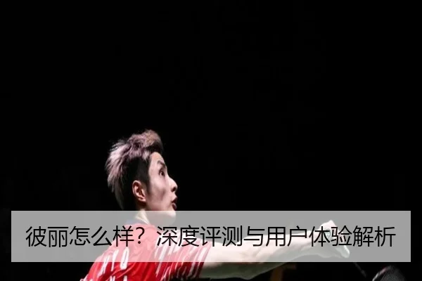彼丽怎么样？深度评测与用户体验解析