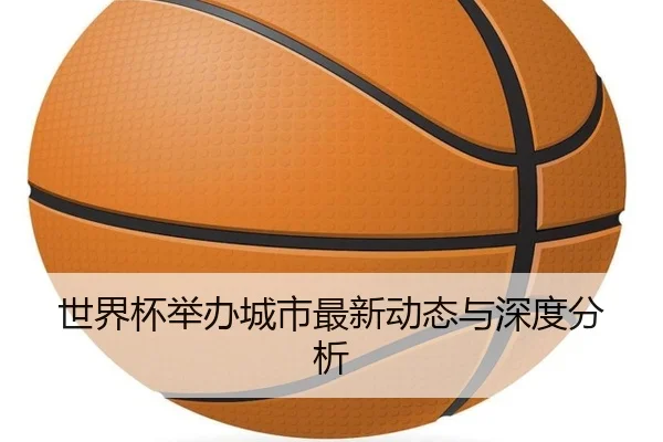 世界杯举办城市最新动态与深度分析